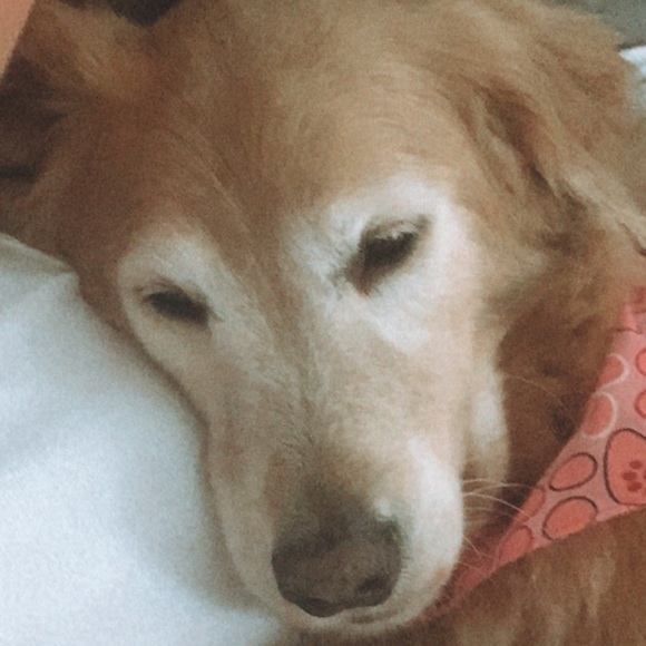 Meet your Posher, Taylor - Picture 1 of 1